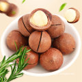 Wholesale Delicious Healthy Dried Fruits Shelled Macadamia